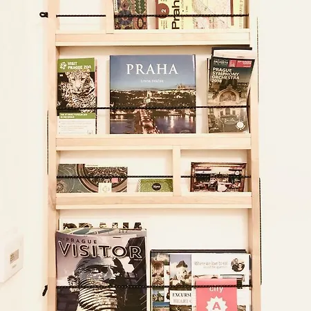 Your In The Center Of Appartement